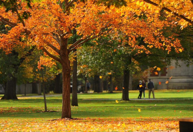 Fall in Brunswick Maine